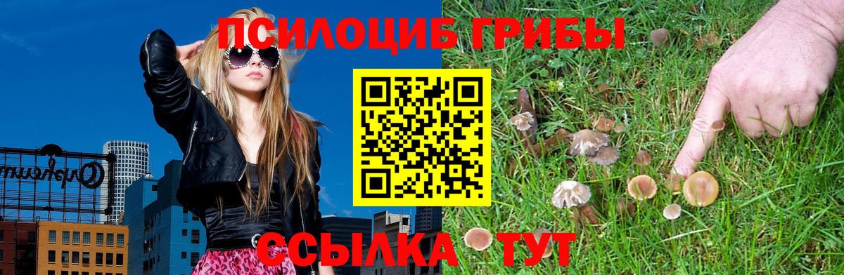 Гашиш Апатиты